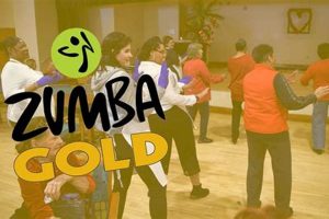 Discover What's Zumba Gold? For Active Seniors! Safem Fabrication - Precision Engineering & Custom Manufacturing Solutions Discover What's Zumba Gold? For Active Seniors! | Safem Fabrication - Precision Engineering & Custom Manufacturing Solutions