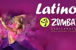 Latin Beats: Zumba Musica Latina Workout Rhythms Safem Fabrication - Precision Engineering & Custom Manufacturing Solutions Latin Beats: Zumba Musica Latina Workout Rhythms | Safem Fabrication - Precision Engineering & Custom Manufacturing Solutions