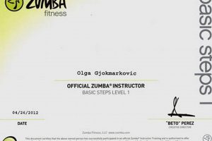 Become a Zumba Instructor: Certification & Training Guide The Ultimate Zumba Guide: Dance Your Way to a Healthier You Become a Zumba Instructor: Certification & Training Guide | The Ultimate Zumba Guide: Dance Your Way to a Healthier You