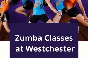 Find Fun & Fit Zumba Classes in Westchester County, NY! Safem Fabrication - Precision Engineering & Custom Manufacturing Solutions Find Fun & Fit Zumba Classes in Westchester County, NY! | Safem Fabrication - Precision Engineering & Custom Manufacturing Solutions