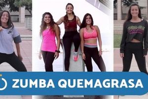 Quick Zumba en Casa: 30-Minute Home Workout Fun! Safem Fabrication - Precision Engineering & Custom Manufacturing Solutions Quick Zumba en Casa: 30-Minute Home Workout Fun! | Safem Fabrication - Precision Engineering & Custom Manufacturing Solutions
