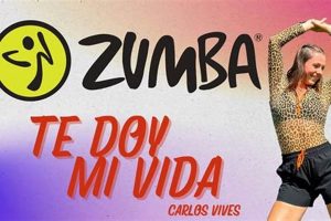 Boost Your Fitness: Cumbia Zumba Fitness Fun! Safem Fabrication - Precision Engineering & Custom Manufacturing Solutions Boost Your Fitness: Cumbia Zumba Fitness Fun! | Safem Fabrication - Precision Engineering & Custom Manufacturing Solutions