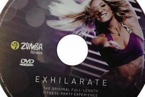 Shop Ebay Zumba DVD Workouts - Burn Calories Fast! Safem Fabrication - Precision Engineering & Custom Manufacturing Solutions Shop Ebay Zumba DVD Workouts - Burn Calories Fast! | Safem Fabrication - Precision Engineering & Custom Manufacturing Solutions