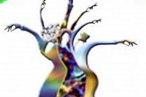 Find Affordable Zumba Classes in Fall River, MA Today! Safem Fabrication - Precision Engineering & Custom Manufacturing Solutions Find Affordable Zumba Classes in Fall River, MA Today! | Safem Fabrication - Precision Engineering & Custom Manufacturing Solutions