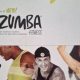 Get Fit: Zumba Fitness 4 DVD Box Set Workout! | The Ultimate Zumba Guide: Dance Your Way to a Healthier You