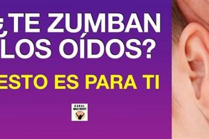 Zumba el Odo? Que Significa Cuando Duele el Odo Izquierdo Safem Fabrication - Precision Engineering & Custom Manufacturing Solutions Zumba el Odo? Que Significa Cuando Duele el Odo Izquierdo | Safem Fabrication - Precision Engineering & Custom Manufacturing Solutions