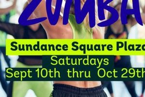 Find Fun Zumba Classes in Fort Worth Near You! Safem Fabrication - Precision Engineering & Custom Manufacturing Solutions Find Fun Zumba Classes in Fort Worth Near You! | Safem Fabrication - Precision Engineering & Custom Manufacturing Solutions
