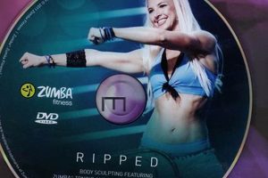 Get Ripped with Zumba: Fitness DVD Workout! Safem Fabrication - Precision Engineering & Custom Manufacturing Solutions Get Ripped with Zumba: Fitness DVD Workout! | Safem Fabrication - Precision Engineering & Custom Manufacturing Solutions
