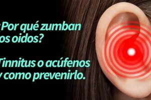 Odo Zumba: Qu Significa Cuando Te Zumba Un Oido? [Causes] | The Ultimate Zumba Guide: Dance Your Way to a Healthier You