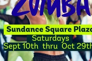 Find Fun Zumba Classes in Fort Worth Today! Safem Fabrication - Precision Engineering & Custom Manufacturing Solutions Find Fun Zumba Classes in Fort Worth Today! | Safem Fabrication - Precision Engineering & Custom Manufacturing Solutions