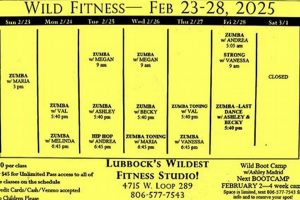 Find Fun Zumba Classes in Lubbock, TX! Safem Fabrication - Precision Engineering & Custom Manufacturing Solutions Find Fun Zumba Classes in Lubbock, TX! | Safem Fabrication - Precision Engineering & Custom Manufacturing Solutions