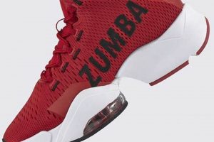 Best Zumba Air Stomp Shoes [Dance Ready!] | The Ultimate Zumba Guide: Dance Your Way to a Healthier You