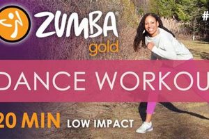 Gentle Low Impact Zumba: Fun Workout for All! Safem Fabrication - Precision Engineering & Custom Manufacturing Solutions Gentle Low Impact Zumba: Fun Workout for All! | Safem Fabrication - Precision Engineering & Custom Manufacturing Solutions