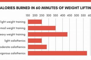 Zumba Burn: How Many Calories Burned in 1 Hour? Tips! The Ultimate Zumba Guide: Dance Your Way to a Healthier You Zumba Burn: How Many Calories Burned in 1 Hour? Tips! | The Ultimate Zumba Guide: Dance Your Way to a Healthier You
