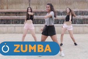 Quick Fit: Short Zumba Workout for Busy Bees The Ultimate Zumba Guide: Dance Your Way to a Healthier You Quick Fit: Short Zumba Workout for Busy Bees | The Ultimate Zumba Guide: Dance Your Way to a Healthier You