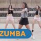 Quick Fit: Short Zumba Workout for Busy Bees | The Ultimate Zumba Guide: Dance Your Way to a Healthier You