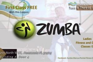 Find Fun Zumba Classes in Pensacola, FL Near You The Ultimate Zumba Guide: Dance Your Way to a Healthier You Find Fun Zumba Classes in Pensacola, FL Near You | The Ultimate Zumba Guide: Dance Your Way to a Healthier You