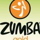 Gentle Gold Zumba: Dance Fitness for Active Seniors | The Ultimate Zumba Guide: Dance Your Way to a Healthier You