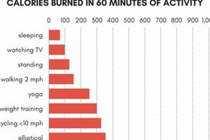 Zumba Burn: How Many Calories Can I Burn Doing Zumba? The Ultimate Zumba Guide: Dance Your Way to a Healthier You Zumba Burn: How Many Calories Can I Burn Doing Zumba? | The Ultimate Zumba Guide: Dance Your Way to a Healthier You