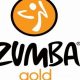 Gentle Zumba Zumba Gold: Dance Your Way to Fitness! | The Ultimate Zumba Guide: Dance Your Way to a Healthier You