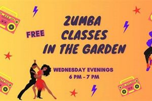 Bronx Zumba Bliss: Dance Fitness Classes Near You! The Ultimate Zumba Guide: Dance Your Way to a Healthier You Bronx Zumba Bliss: Dance Fitness Classes Near You! | The Ultimate Zumba Guide: Dance Your Way to a Healthier You