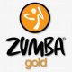 Create Logo Zumba Gold Designs + Template Ideas | The Ultimate Zumba Guide: Dance Your Way to a Healthier You
