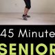 Senior Zumba Workout: Dance Your Way to Fitness! | The Ultimate Zumba Guide: Dance Your Way to a Healthier You