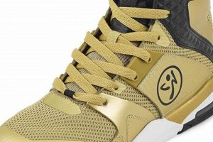Shine On: Gold Zumba Shoes for Fitness Fun! The Ultimate Zumba Guide: Dance Your Way to a Healthier You Shine On: Gold Zumba Shoes for Fitness Fun! | The Ultimate Zumba Guide: Dance Your Way to a Healthier You