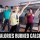 Zumba Calories Burn: Your 50-Minute Guide & Tips! | The Ultimate Zumba Guide: Dance Your Way to a Healthier You