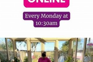 Boost Fitness: Online Zumba Gold Classes At Home The Ultimate Zumba Guide: Dance Your Way to a Healthier You Boost Fitness: Online Zumba Gold Classes At Home | The Ultimate Zumba Guide: Dance Your Way to a Healthier You