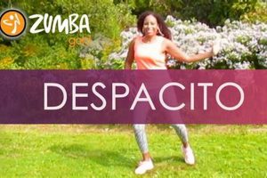 Golden Zumba Gold Despacito: Senior Fitness Fun! The Ultimate Zumba Guide: Dance Your Way to a Healthier You Golden Zumba Gold Despacito: Senior Fitness Fun! | The Ultimate Zumba Guide: Dance Your Way to a Healthier You