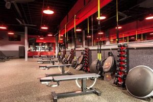 Find Fun Zumba Classes in Fullerton! The Ultimate Zumba Guide: Dance Your Way to a Healthier You Find Fun Zumba Classes in Fullerton! | The Ultimate Zumba Guide: Dance Your Way to a Healthier You