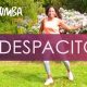 Easy Despacito Zumba Gold: Dance Fitness for Seniors! | The Ultimate Zumba Guide: Dance Your Way to a Healthier You