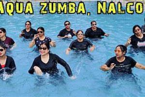 Watch: Zumba Water Aerobics on YouTube for Fun Fitness! The Ultimate Zumba Guide: Dance Your Way to a Healthier You Watch: Zumba Water Aerobics on YouTube for Fun Fitness! | The Ultimate Zumba Guide: Dance Your Way to a Healthier You