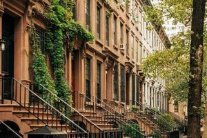 Find Top Zumba Classes: Upper East Side Fitness & Fun! The Ultimate Zumba Guide: Dance Your Way to a Healthier You Find Top Zumba Classes: Upper East Side Fitness & Fun! | The Ultimate Zumba Guide: Dance Your Way to a Healthier You