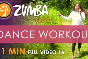 Gentle Zumba Gold Oldies: Fitness & Fun! The Ultimate Zumba Guide: Dance Your Way to a Healthier You Gentle Zumba Gold Oldies: Fitness & Fun! | The Ultimate Zumba Guide: Dance Your Way to a Healthier You