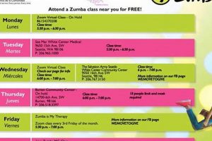 Find Your Perfect Zumba Class Schedule Today! | The Ultimate Zumba Guide: Dance Your Way to a Healthier You