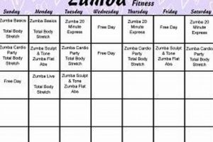 Find Your Fitness Connection Zumba Schedule + Tips | The Ultimate Zumba Guide: Dance Your Way to a Healthier You