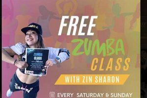 Get a Taste: Sample Zumba Class Fun & Fitness! The Ultimate Zumba Guide: Dance Your Way to a Healthier You Get a Taste: Sample Zumba Class Fun & Fitness! | The Ultimate Zumba Guide: Dance Your Way to a Healthier You