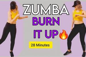Burn Calories: Zumba Burn It Up vs Just Dance Battle! The Ultimate Zumba Guide: Dance Your Way to a Healthier You Burn Calories: Zumba Burn It Up vs Just Dance Battle! | The Ultimate Zumba Guide: Dance Your Way to a Healthier You