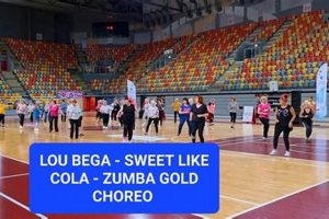 Easy Zumba Gold Choreo: Dance Your Way to Fitness! The Ultimate Zumba Guide: Dance Your Way to a Healthier You Easy Zumba Gold Choreo: Dance Your Way to Fitness! | The Ultimate Zumba Guide: Dance Your Way to a Healthier You