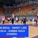 Easy Zumba Gold Choreo: Dance Your Way to Fitness! | The Ultimate Zumba Guide: Dance Your Way to a Healthier You