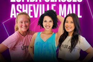 Dance Your Way Fit: Zumba Classes Asheville NC Area The Ultimate Zumba Guide: Dance Your Way to a Healthier You Dance Your Way Fit: Zumba Classes Asheville NC Area | The Ultimate Zumba Guide: Dance Your Way to a Healthier You