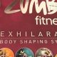Get Fit! Zumba Fitness DVD for Sale: Dance Your Way Thin | The Ultimate Zumba Guide: Dance Your Way to a Healthier You