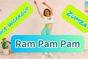 Discover Pam Pam Zumba Fitness: Dance Your Way Fit! The Ultimate Zumba Guide: Dance Your Way to a Healthier You Discover Pam Pam Zumba Fitness: Dance Your Way Fit! | The Ultimate Zumba Guide: Dance Your Way to a Healthier You