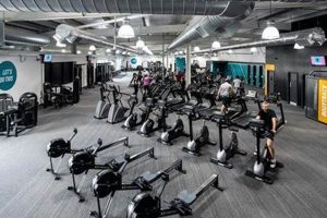 Find Fun Zumba Classes in Portsmouth, UK Today! The Ultimate Zumba Guide: Dance Your Way to a Healthier You Find Fun Zumba Classes in Portsmouth, UK Today! | The Ultimate Zumba Guide: Dance Your Way to a Healthier You