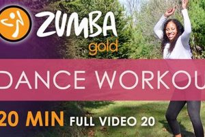 Golden Zumba Gold Dance Workout: Shine & Groove! The Ultimate Zumba Guide: Dance Your Way to a Healthier You Golden Zumba Gold Dance Workout: Shine & Groove! | The Ultimate Zumba Guide: Dance Your Way to a Healthier You