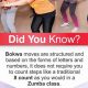 Choosing Zumba Instructor Names: Ideas & Inspiration | The Ultimate Zumba Guide: Dance Your Way to a Healthier You