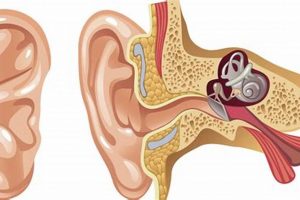 Right Ear Ringing: Qu Pasa? Causes & Relief Tips | The Ultimate Zumba Guide: Dance Your Way to a Healthier You