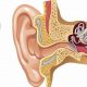 Right Ear Ringing: Qu Pasa? Causes & Relief Tips | The Ultimate Zumba Guide: Dance Your Way to a Healthier You